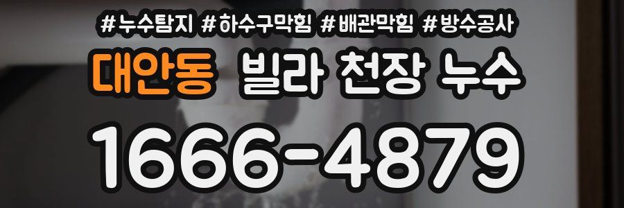 대안동 빌라 천장 누수