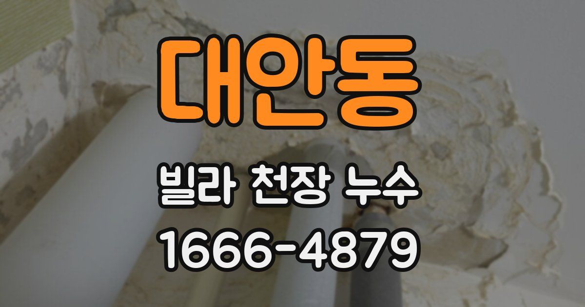 대안동 빌라 천장 누수