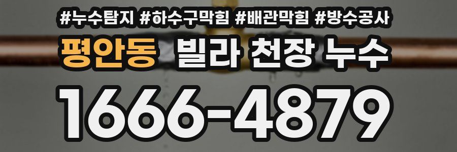 평안동 빌라 천장 누수