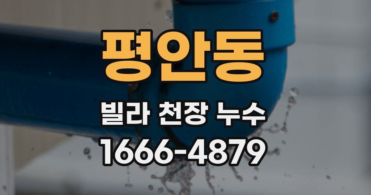 평안동 빌라 천장 누수