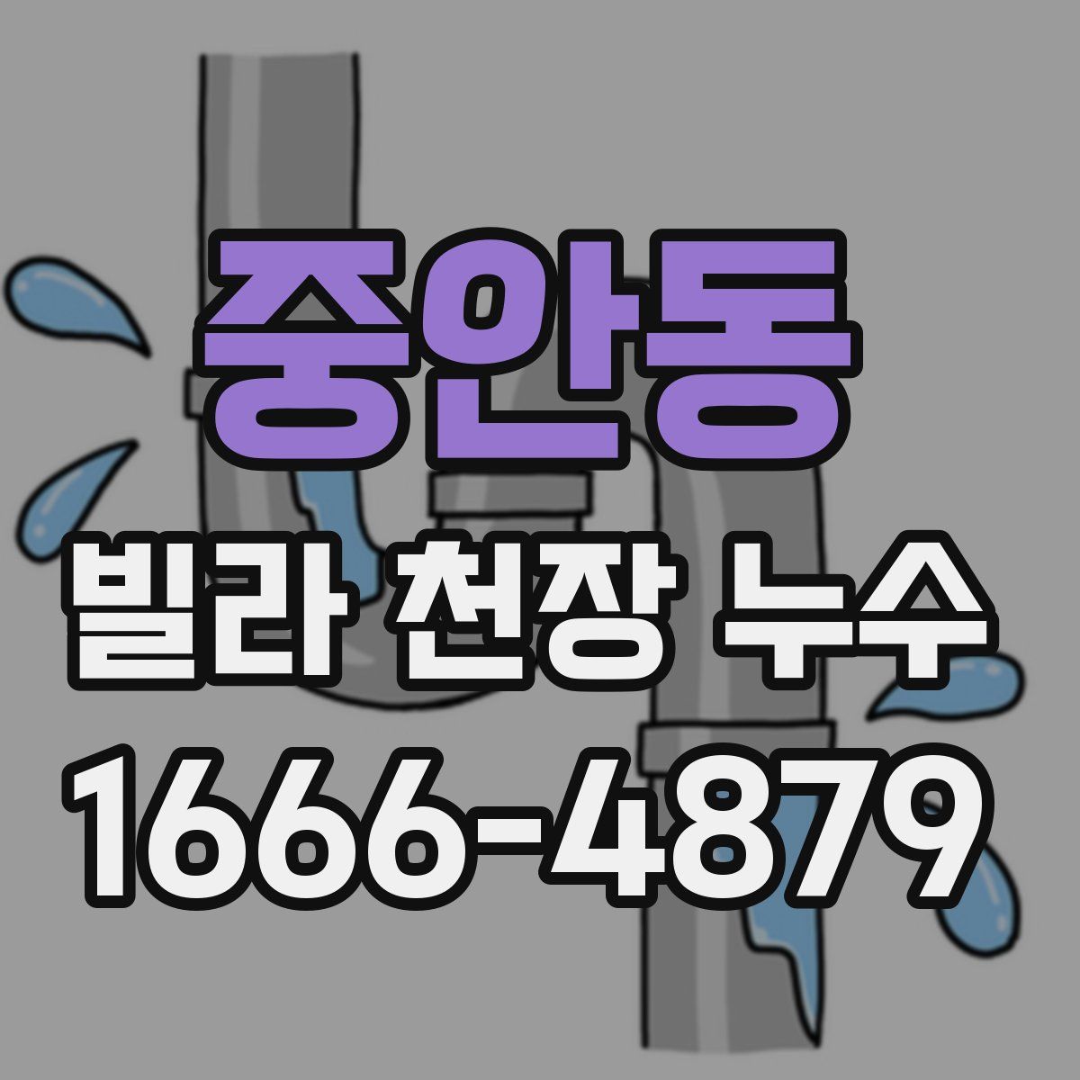 중안동 빌라 천장 누수