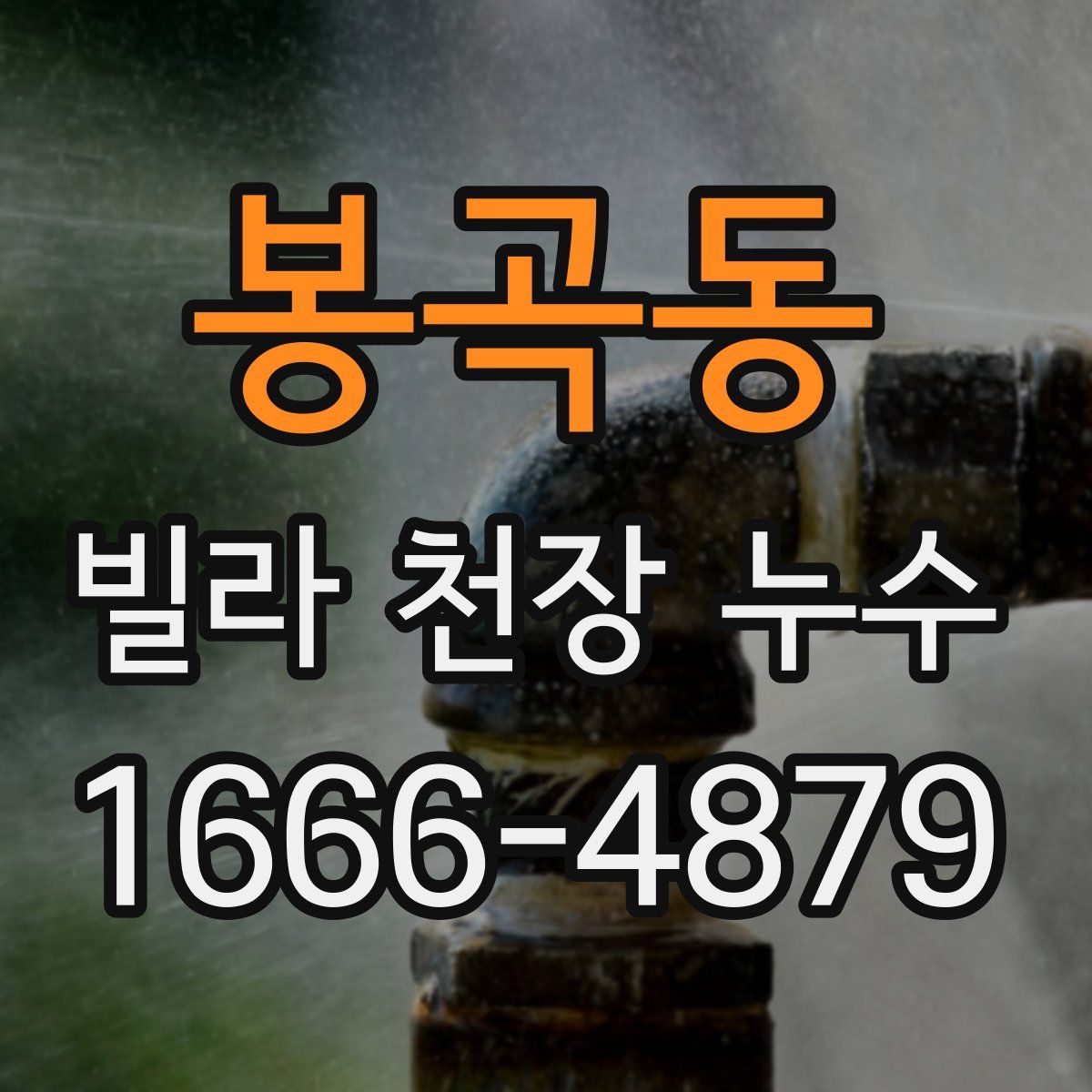 봉곡동 빌라 천장 누수