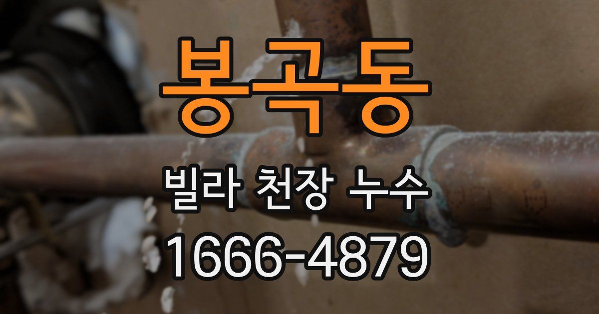 봉곡동 빌라 천장 누수