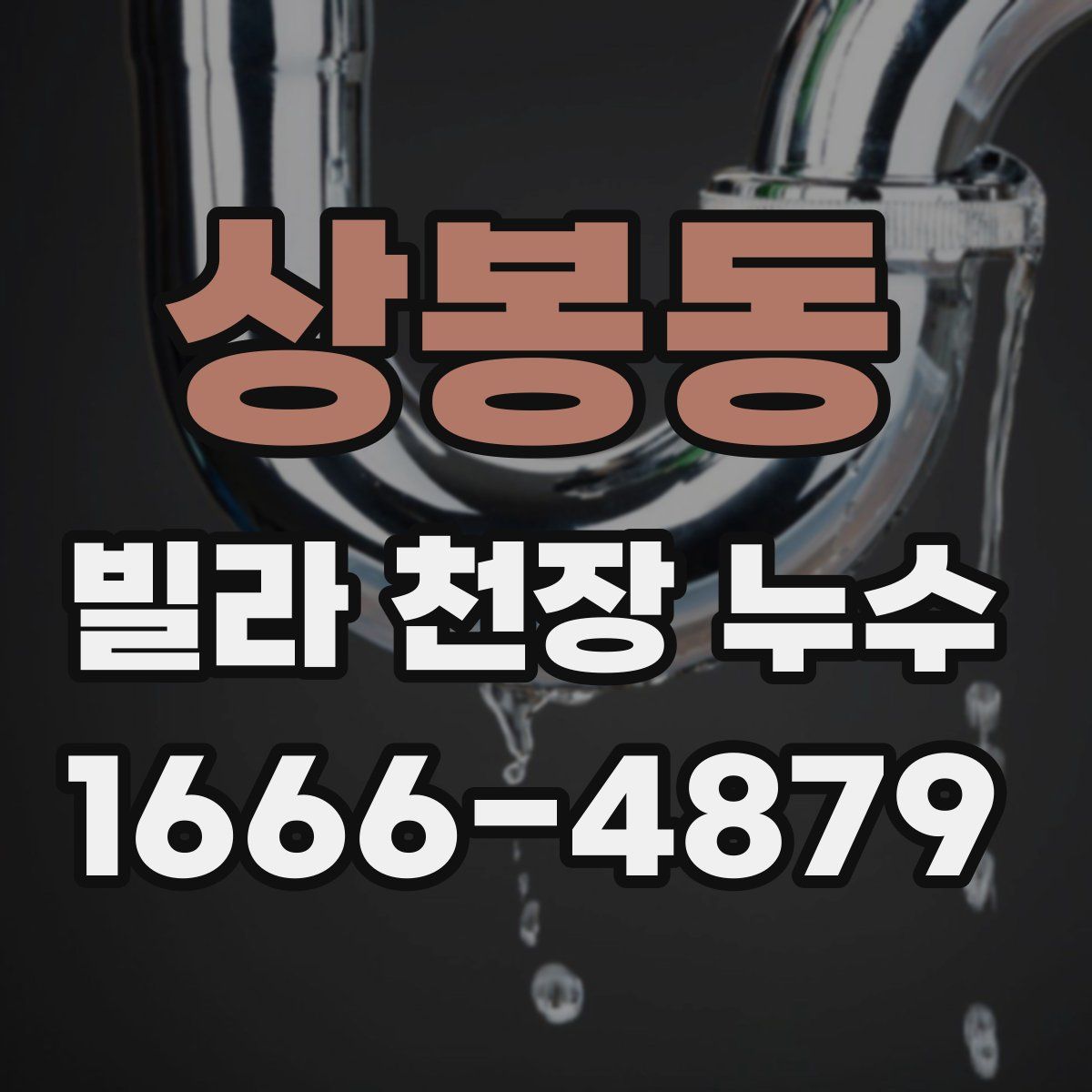 상봉동 빌라 천장 누수