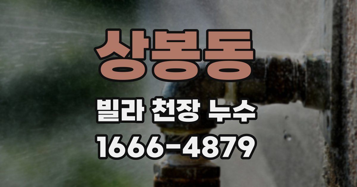 상봉동 빌라 천장 누수