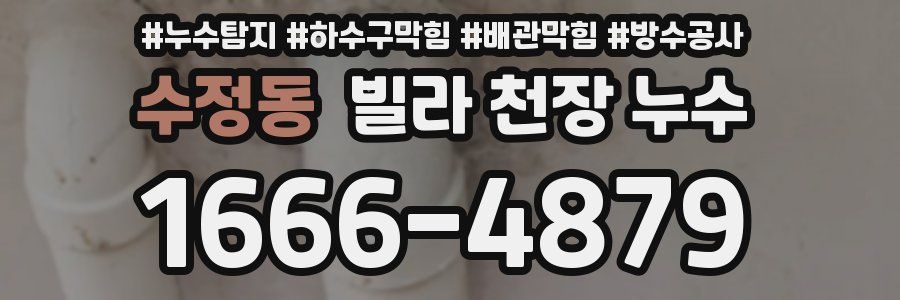 수정동 빌라 천장 누수