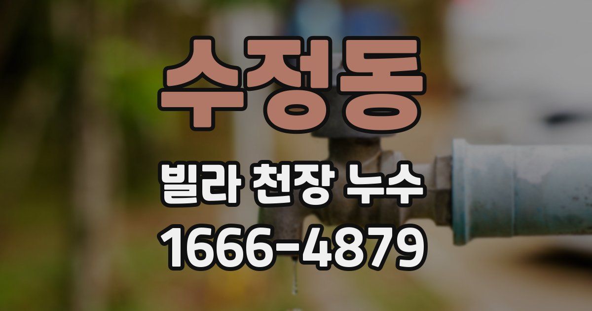 수정동 빌라 천장 누수