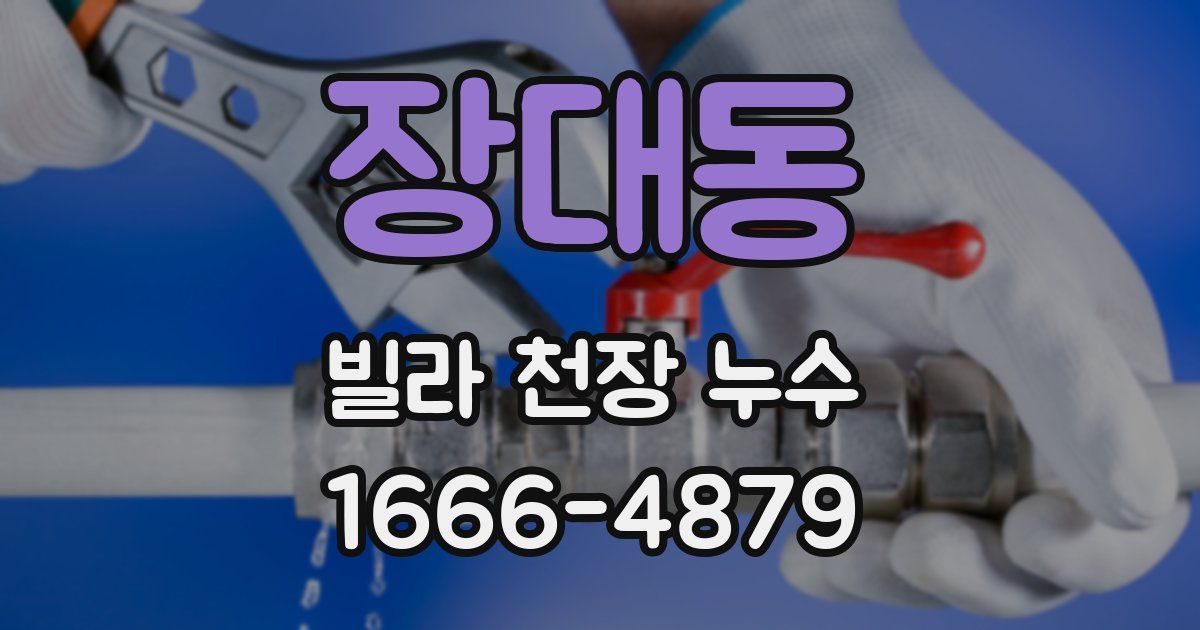 장대동 빌라 천장 누수
