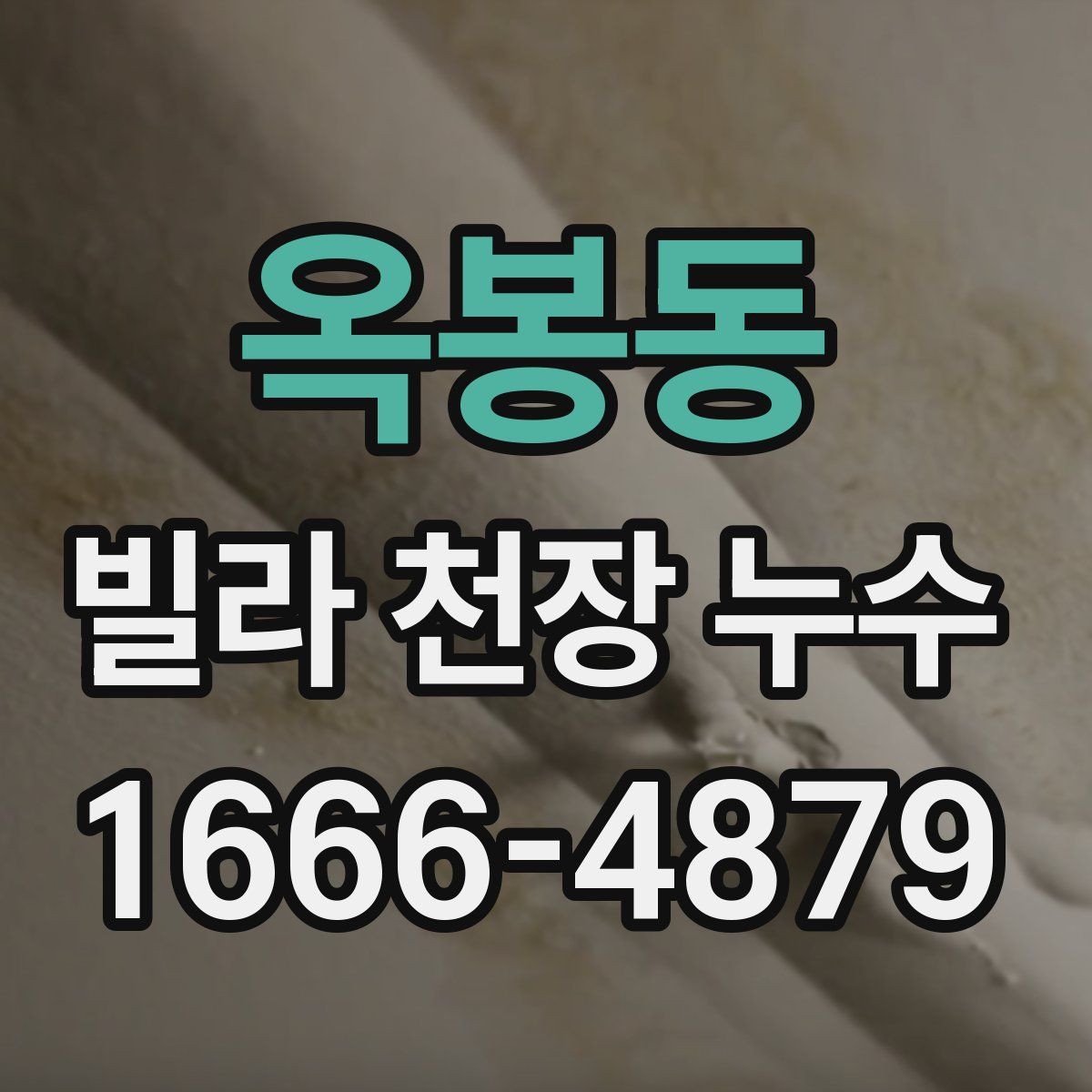 옥봉동 빌라 천장 누수