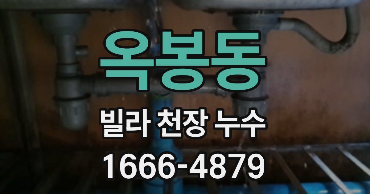 옥봉동 빌라 천장 누수