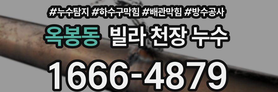 옥봉동 빌라 천장 누수