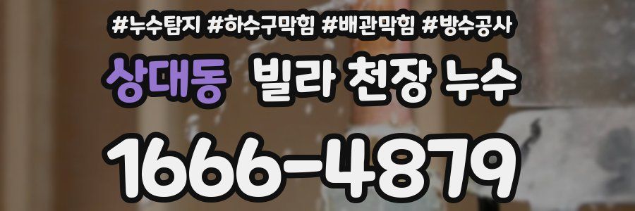 상대동 빌라 천장 누수