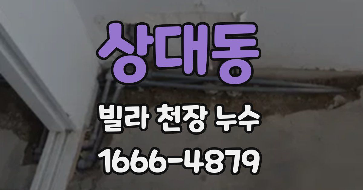상대동 빌라 천장 누수
