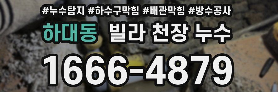 하대동 빌라 천장 누수