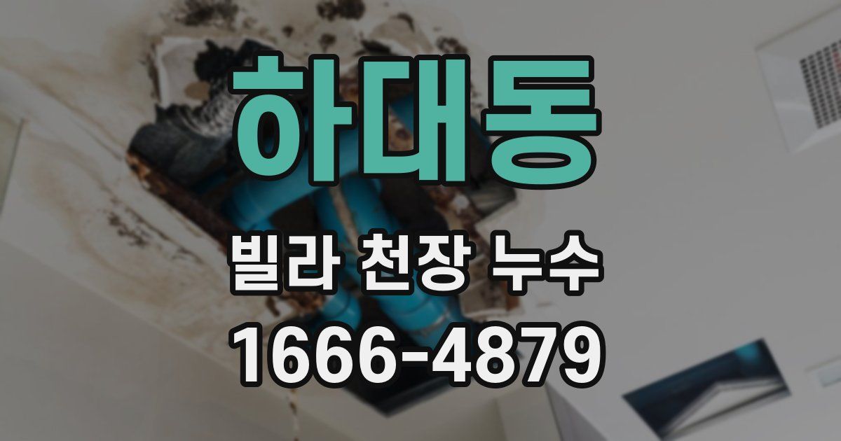 하대동 빌라 천장 누수