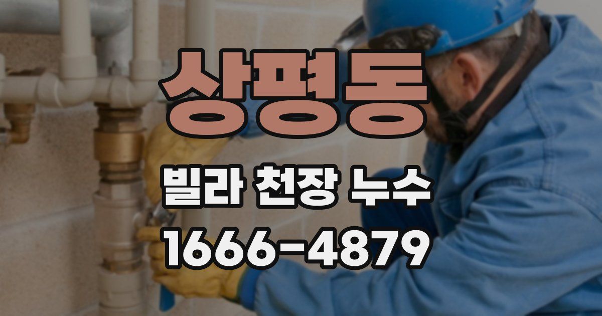 상평동 빌라 천장 누수