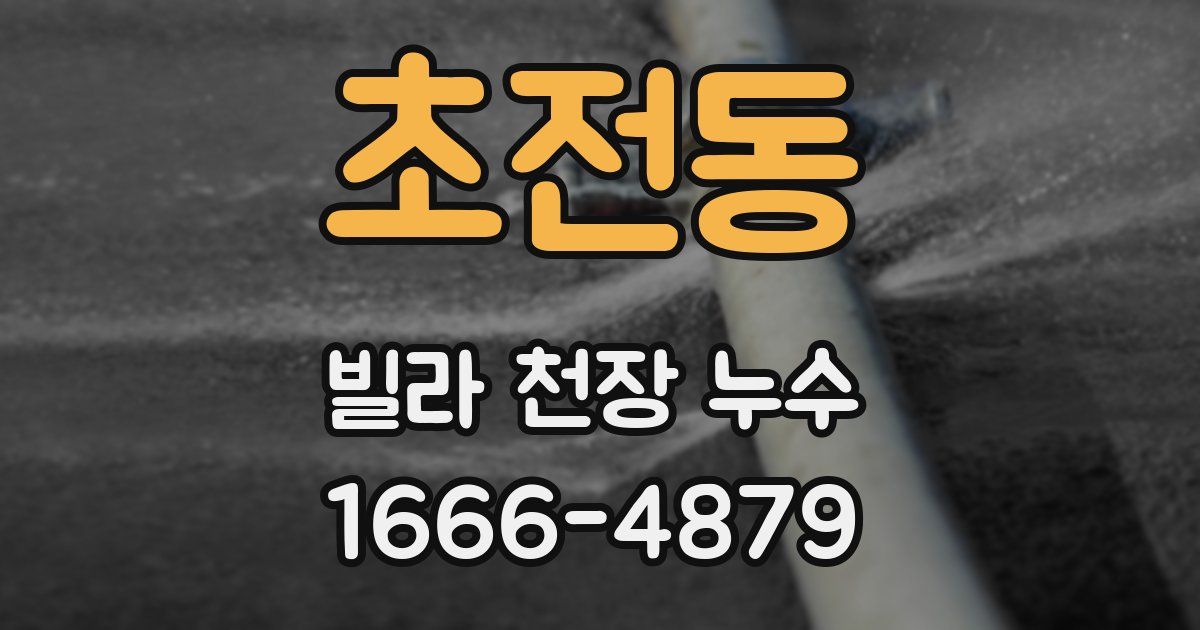 초전동 빌라 천장 누수