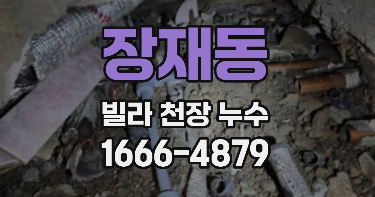 장재동 빌라 천장 누수