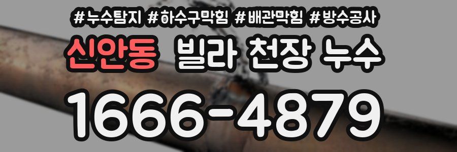 신안동 빌라 천장 누수