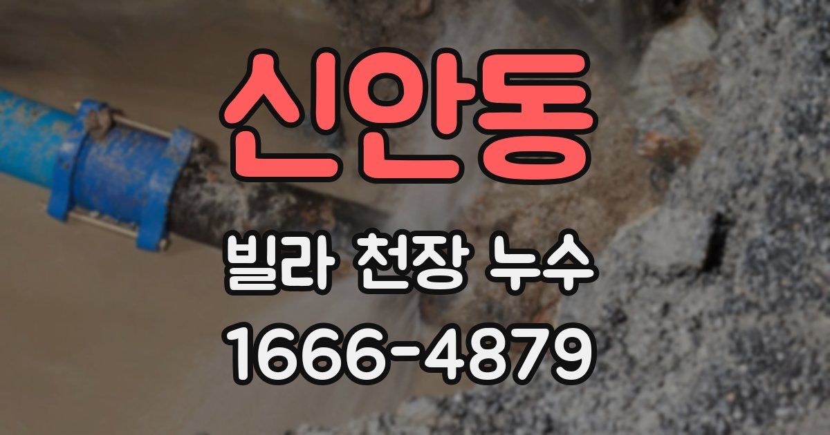 신안동 빌라 천장 누수
