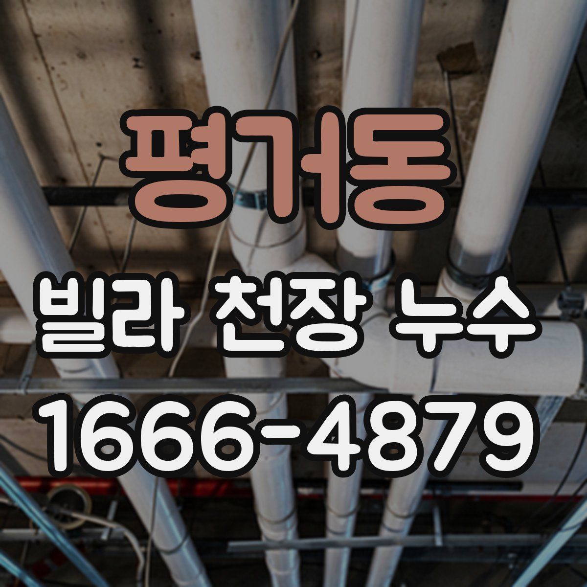 평거동 빌라 천장 누수