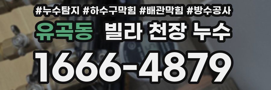 유곡동 빌라 천장 누수