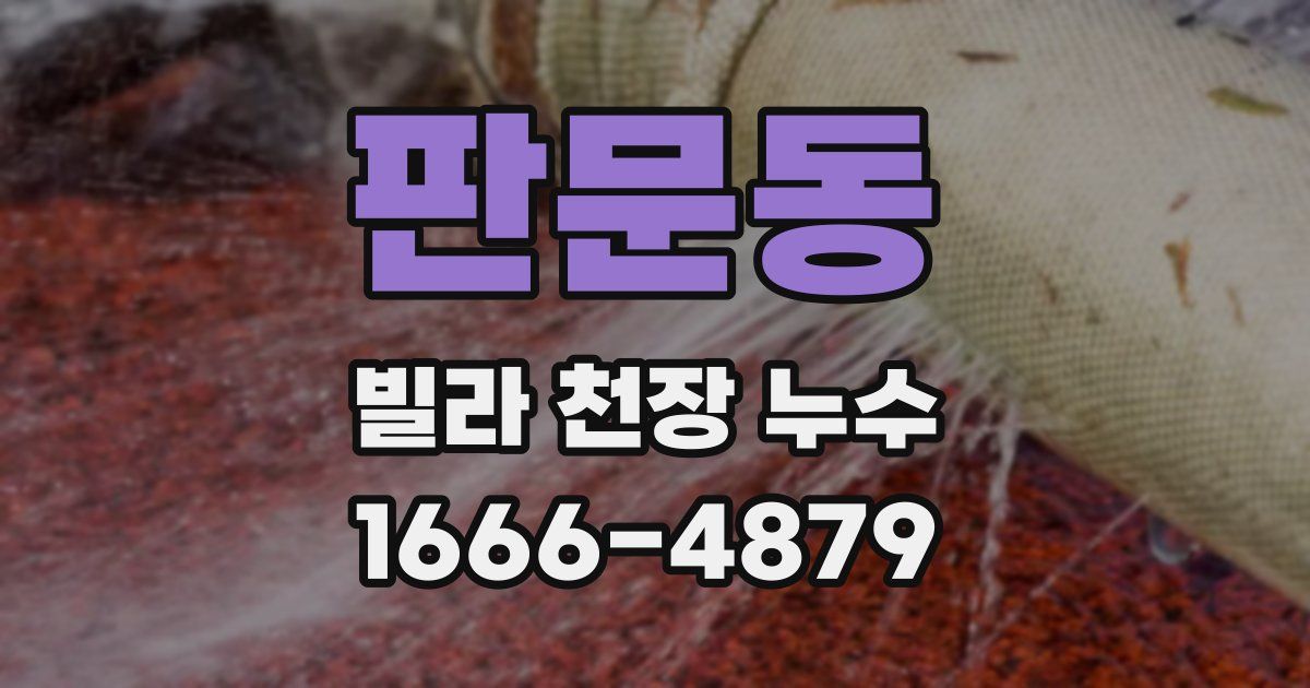 판문동 빌라 천장 누수