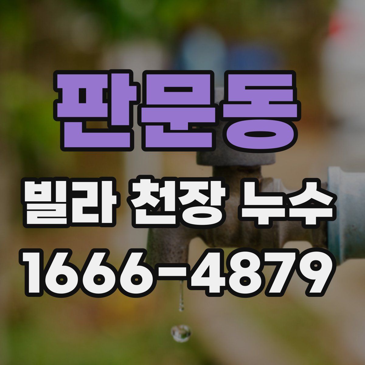 판문동 빌라 천장 누수