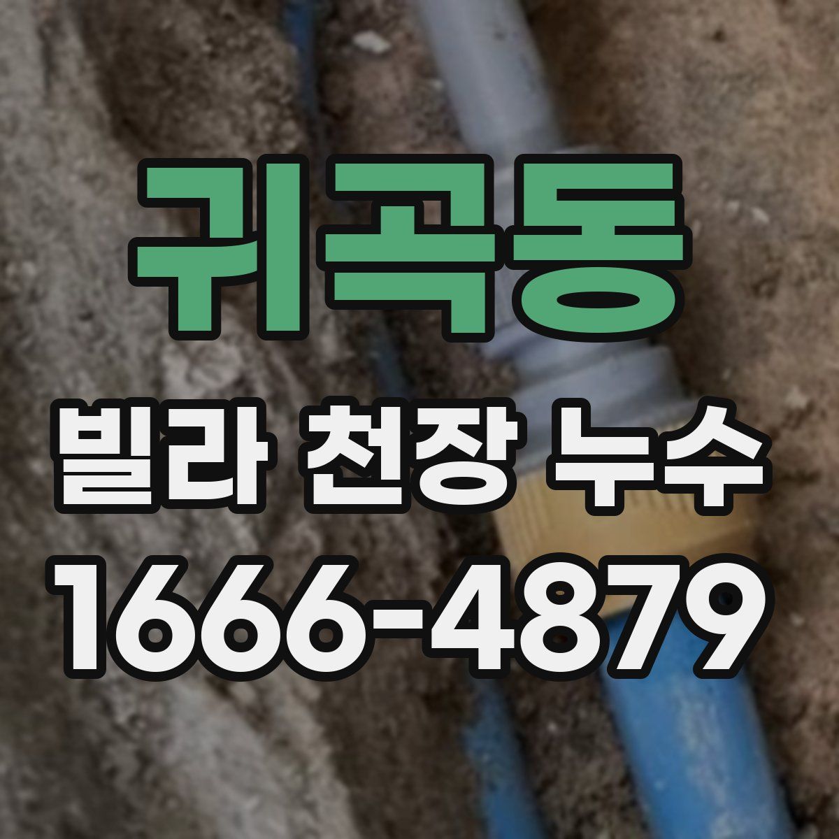 귀곡동 빌라 천장 누수