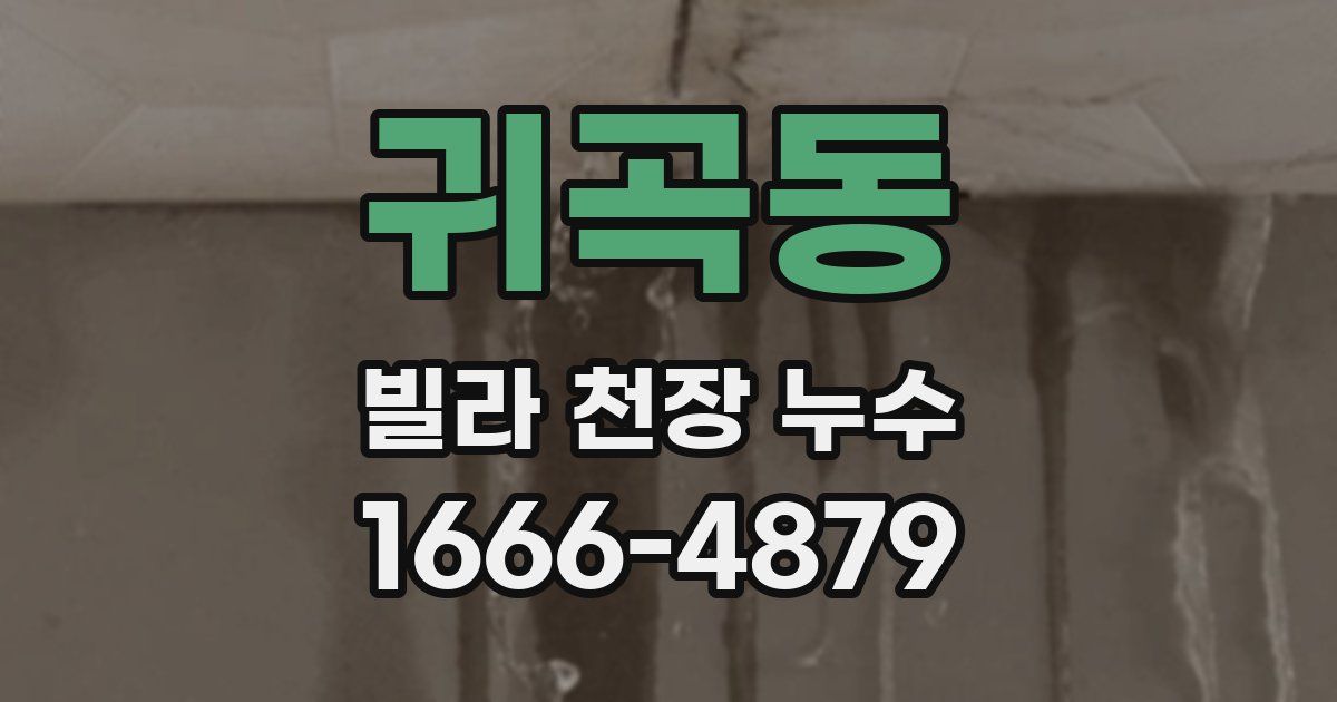 귀곡동 빌라 천장 누수