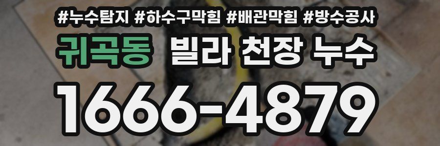 귀곡동 빌라 천장 누수