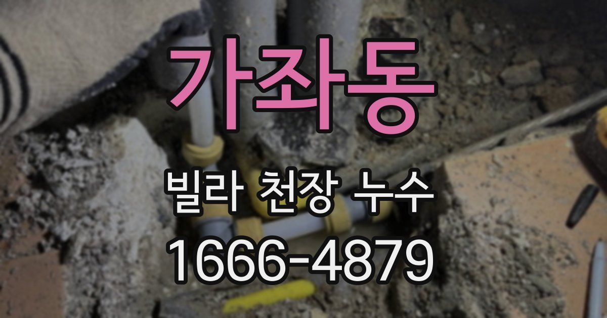 가좌동 빌라 천장 누수