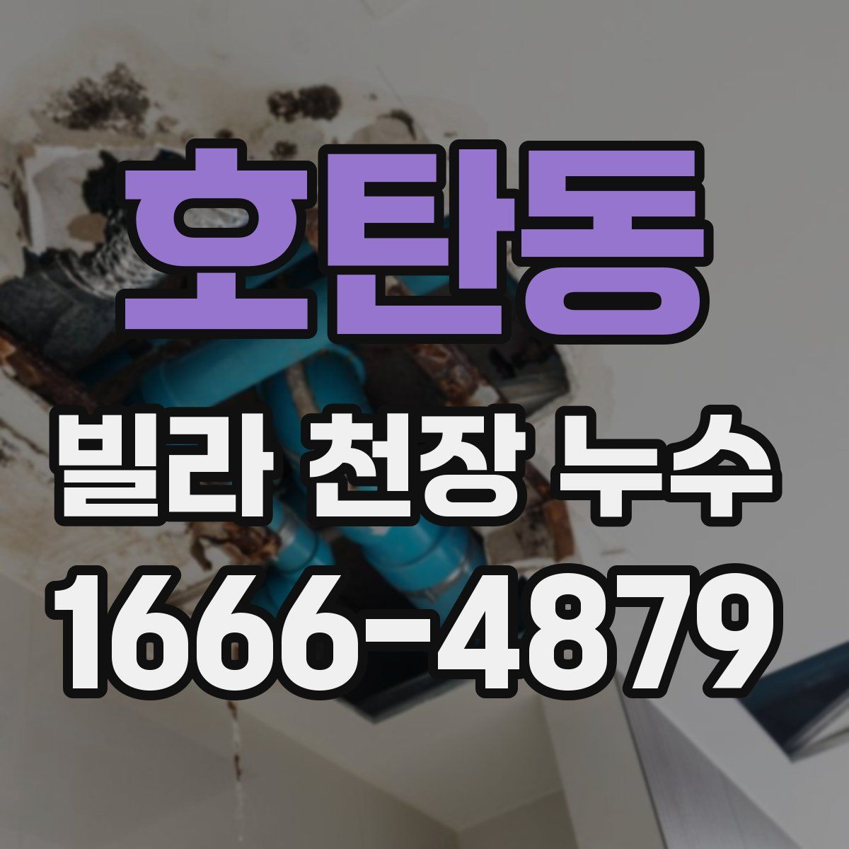 호탄동 빌라 천장 누수