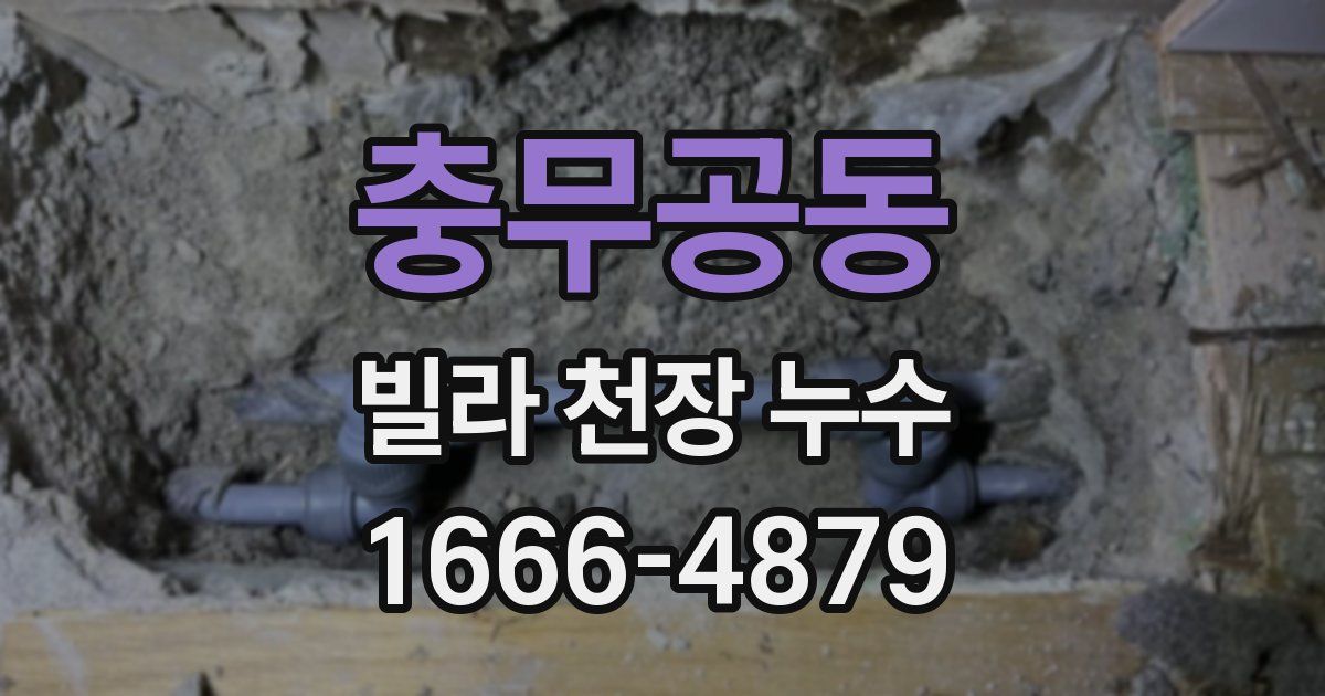 충무공동 빌라 천장 누수