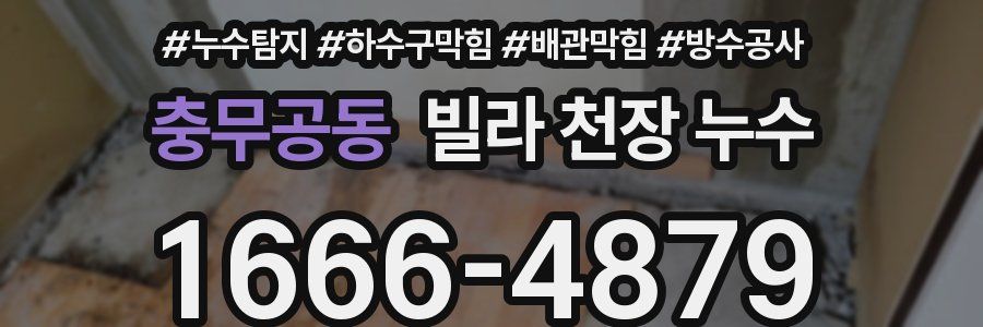 충무공동 빌라 천장 누수