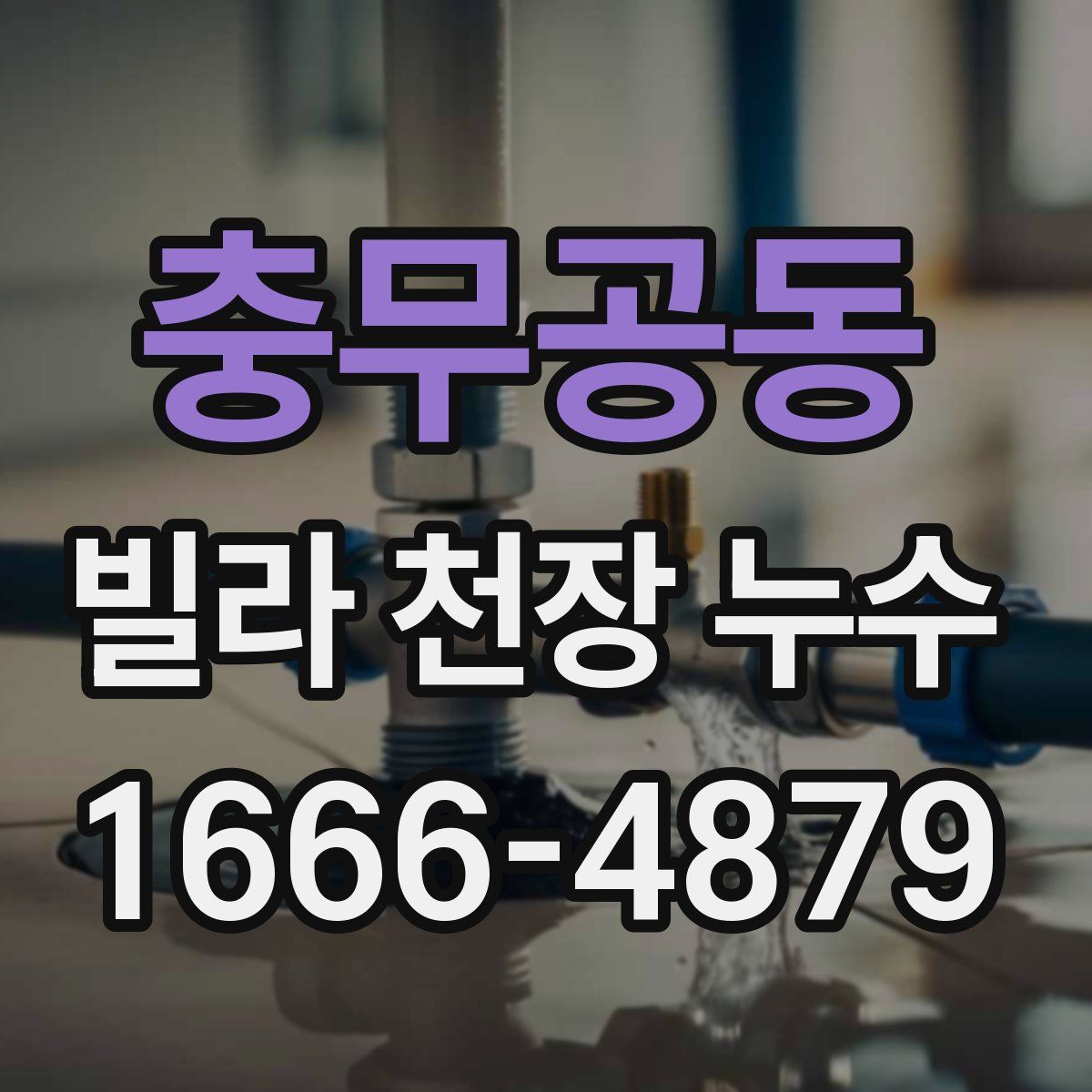 충무공동 빌라 천장 누수