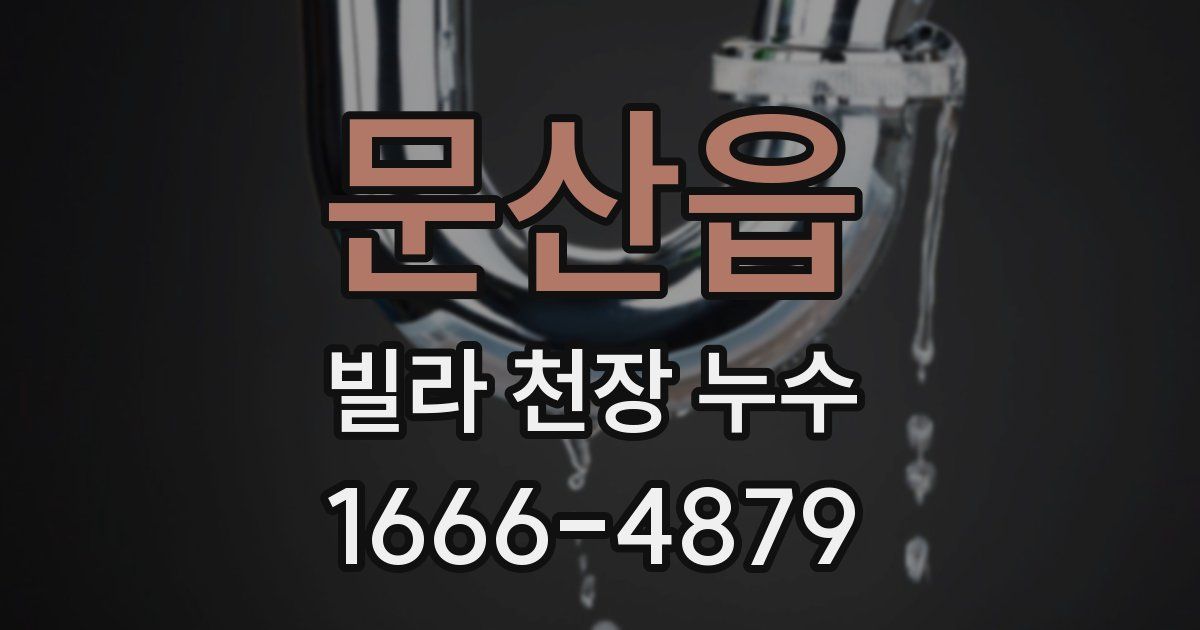 문산읍 빌라 천장 누수