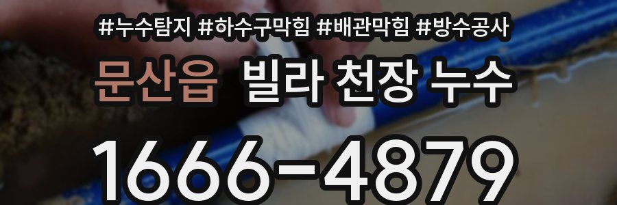 문산읍 빌라 천장 누수