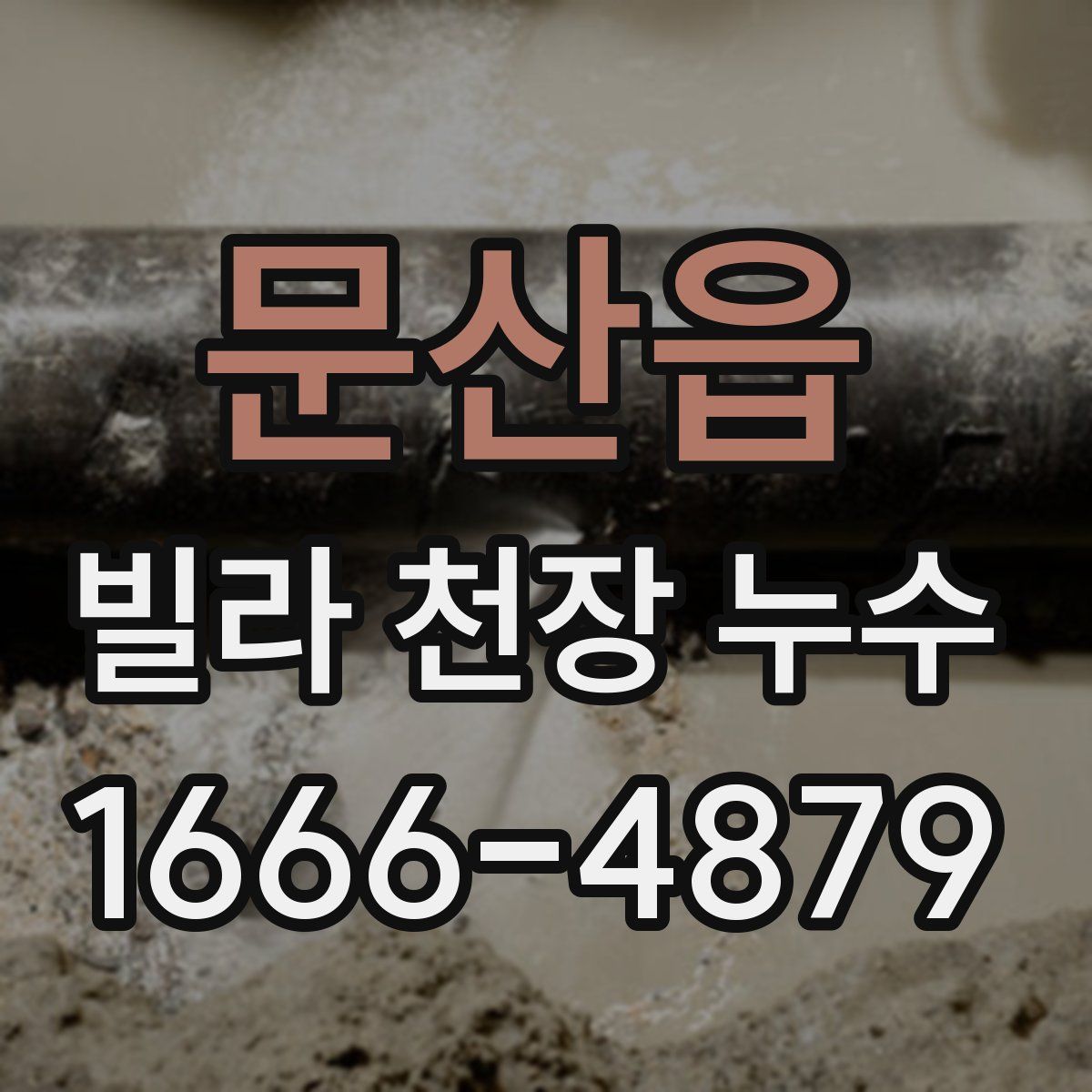 문산읍 빌라 천장 누수