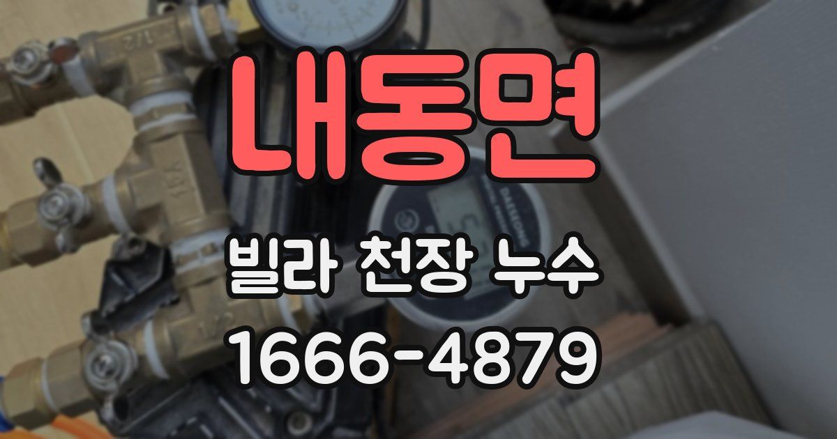 내동면 빌라 천장 누수