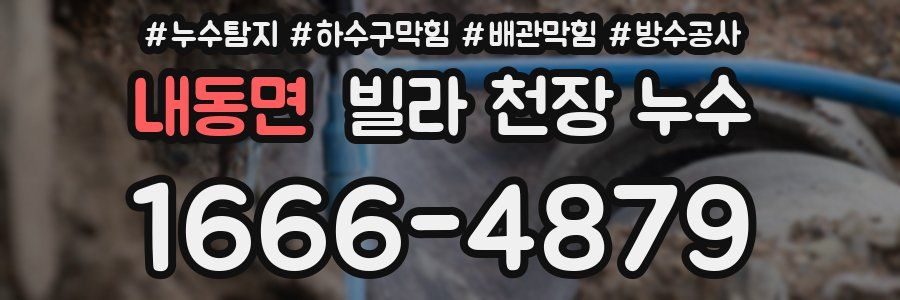 내동면 빌라 천장 누수