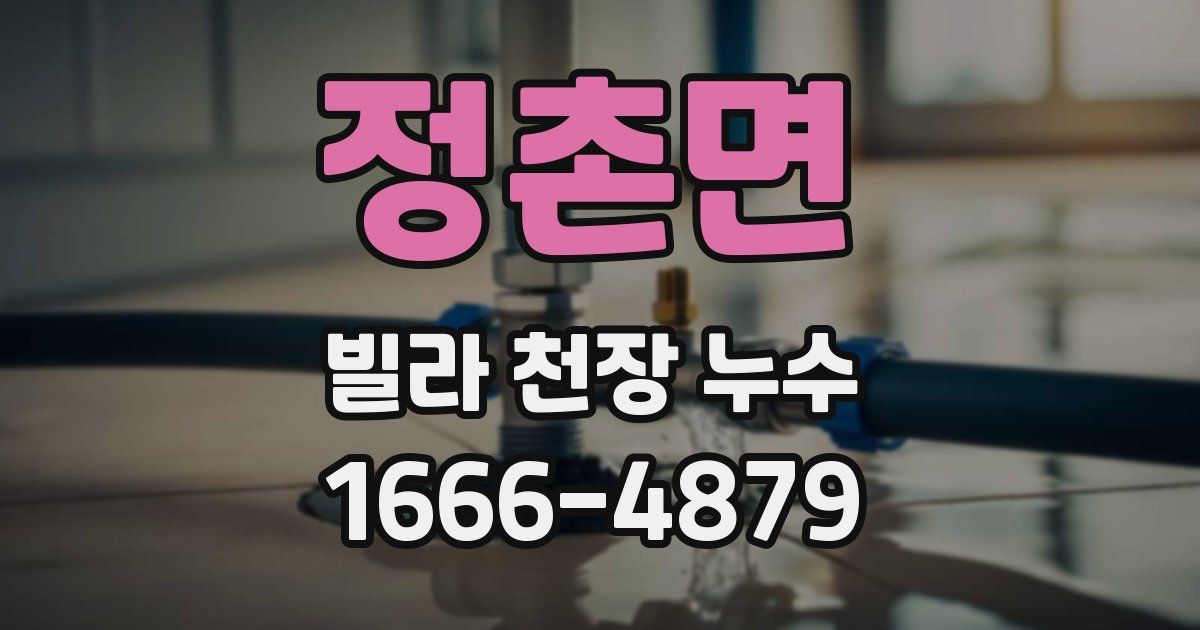 정촌면 빌라 천장 누수