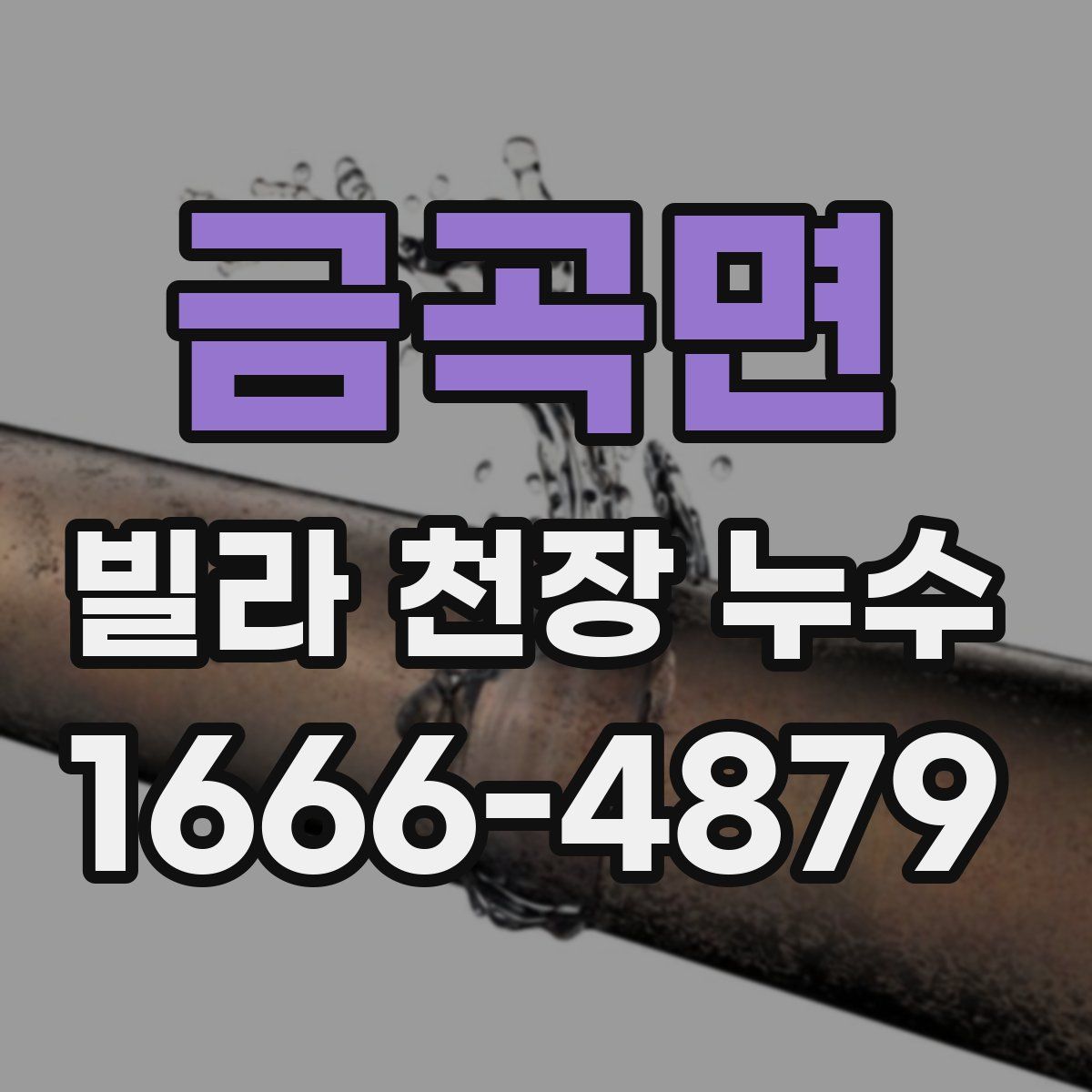 금곡면 빌라 천장 누수