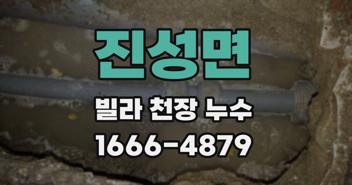 진성면 빌라 천장 누수