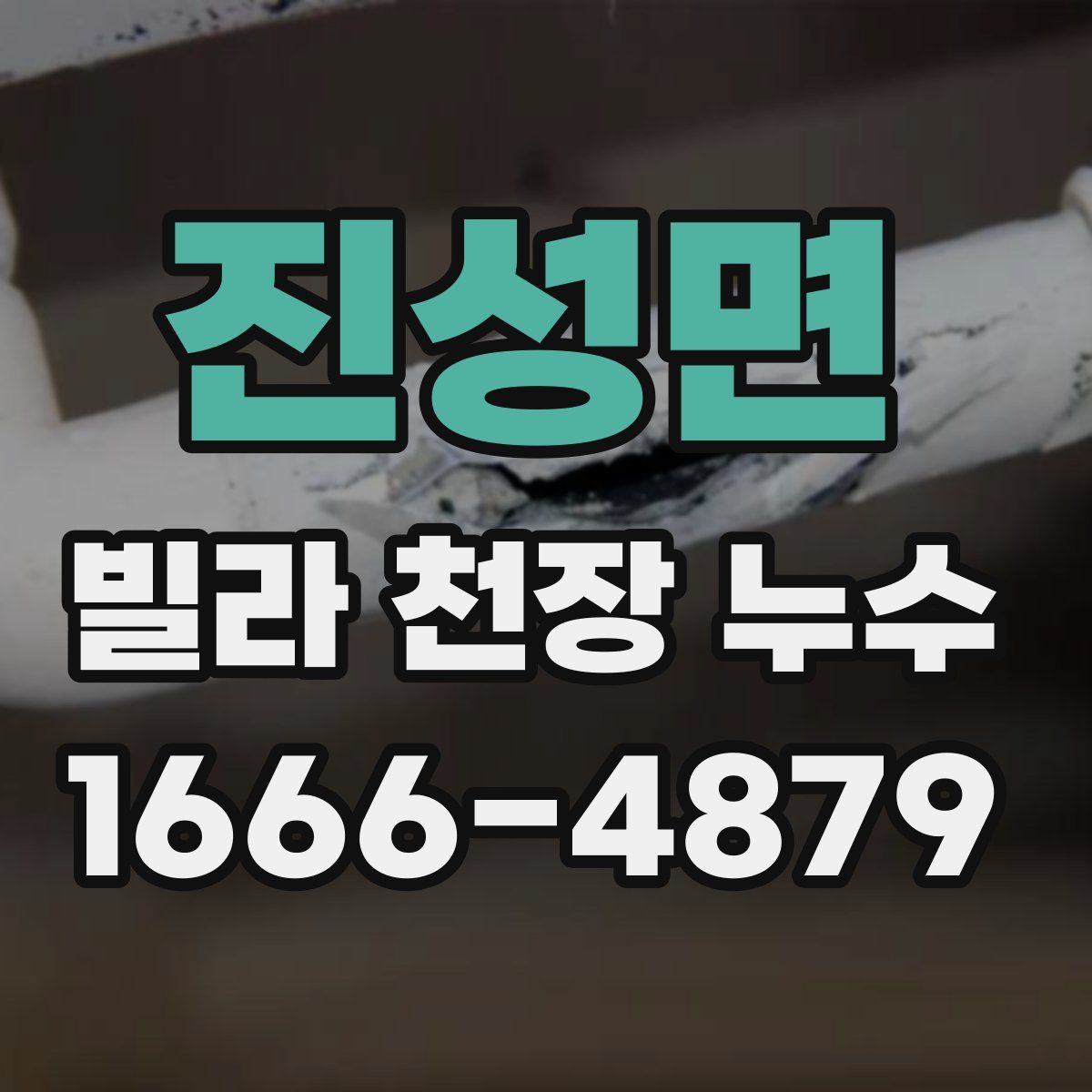진성면 빌라 천장 누수