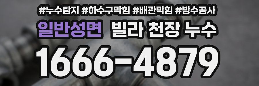 일반성면 빌라 천장 누수