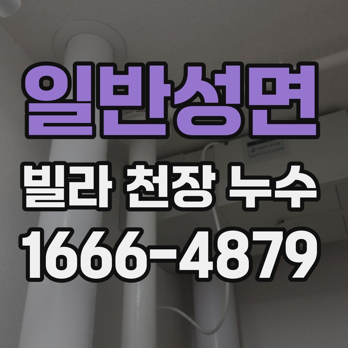 일반성면 빌라 천장 누수