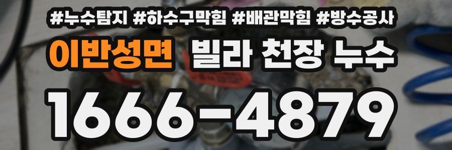 이반성면 빌라 천장 누수