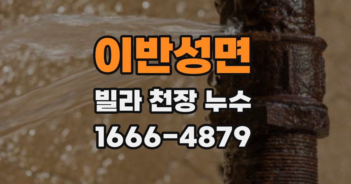 이반성면 빌라 천장 누수