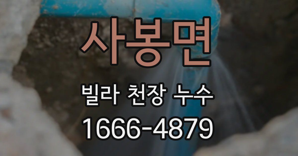 사봉면 빌라 천장 누수